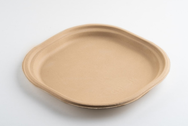 9inchplate-3